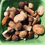 Cztery Pory Roku 3* Mikołajki