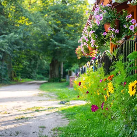 Cztery Pory Roku Bed & Breakfast