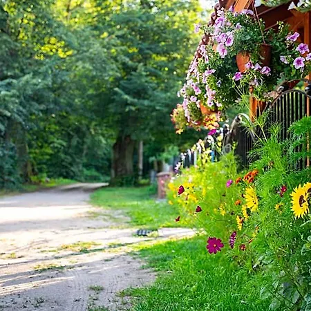 Bed and breakfast Cztery Pory Roku 3*