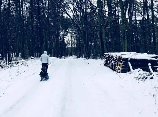 Cztery Pory Roku Mikołajki