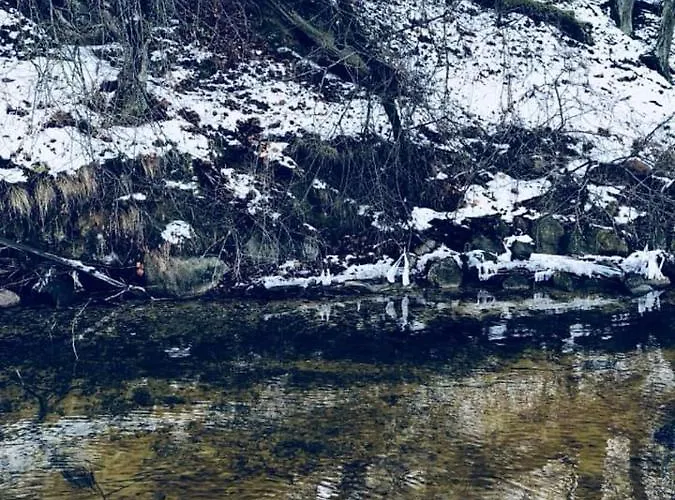 Cztery Pory Roku Nocleg ze śniadaniem Mikołajki
